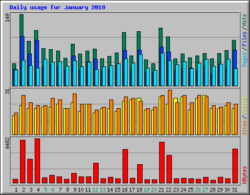 Daily usage for January 2019